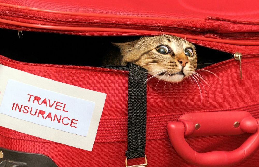 Страхование багажа — туристическая страховка